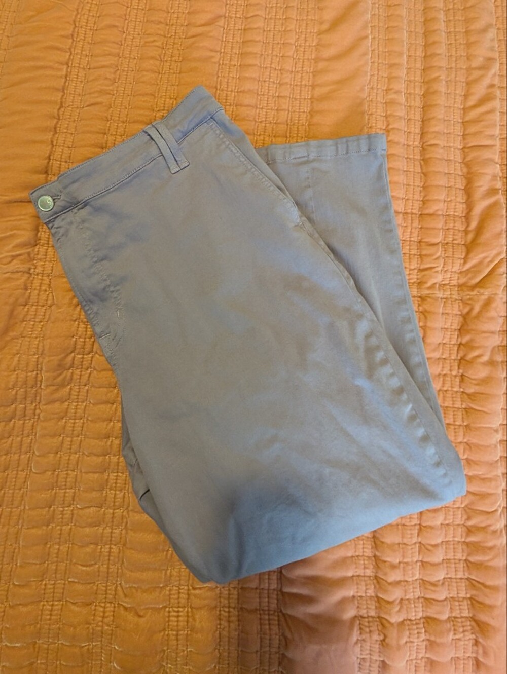 Women's Light Purple Chino Pants 18W